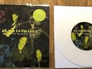 ALICE IN CHAINS - Heaven Beside You 7