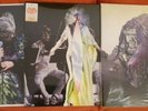 Bjork Vulnicura 6x12
