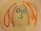 John Lennon, Imagine,  Ltd edition PICTURE DISC 7 inch vinyl single New/Unplayed