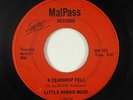 Deep Soul 45 - Little Ronnie Mudd - A Teardrop Fell - MalPass - mp3 - rare