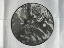 IRON MAIDEN Rare LP Vinyl Picture Disc (Metallica Slayer AC DC Megadeth)