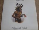 KINGS OF LEON - King Of The Rodeo 7