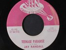 JAY RANDALL: teenage paradise / cherry pie JIN 7