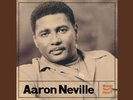 AARON NEVILLE - WARM YOUR HEART - 45RPM 2 LP ANALOGUE PRODUCTIONS