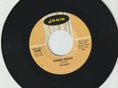 THE CHIPS - RUBBER BISCUIT b/w OH MY DARLIN' - DOOWOP 45 RPM