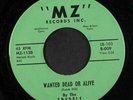SPYDELS: no more teasing / wanted dead or alive MZ 7