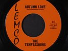 TEMPTASHUNS: autumn love / the big 