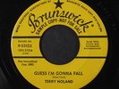 TERRY NOLAND: guess i'm gonna fall / teenage teardrops Brunswick 7