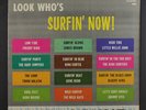 VARIOUS: look who's surfin' now  KING  12