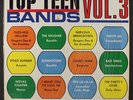 VARIOUS: top teen bands, vol. 3 BUD-JET 12