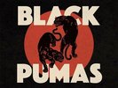 Black Pumas Vinyl LP 2019 NEW