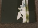 PAUL WELLER - WILD WOOD - 2015 UNIVERSAL UMC UK & EUROPE REPRESS- SEALED