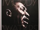 Vinyle - MUDDY WATERS - mannish boy: the best of