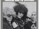 Siouxsie And The Banshees The Peel Sessions 1979-1981 CAT. RFPS79-81  VINYL lp