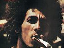 BOB MARLEY & THE WAILERS - CATCH A FIRE NEW VINYL