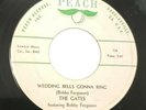 The Gates DOO WOP Wedding Bells Gonna Ring Summer Night Love on Peach 716 HEAR