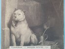 Pavlov's Dog ?– Pampered Menial *DEMO* *Not For Sale* *Collectors Item*  Vinyl