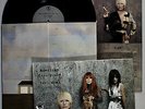 Tori Amos - American Doll Posse (2007) 2-LP Vinyl •PLAY-GRADED• Big Wheel