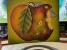 CATAPILLA  LP UK 1ST PRESSING 1971 VERTIGO SWIRL EX+/EX+/EX+++