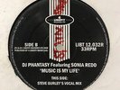 DJ Phantasy Feat Sonia Redd - Music Is My Life Steve Gurley Remixes 12” Vinyl