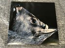 Toe - The Book About My Idle Plot On A Vague Anxiety - TSR084 (Vinyl/brand new)