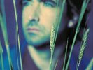 Jean-Louis Murat - Le Manteau De Pluie - Re-édition limitée vinyle 2019
