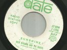 GARAGE FUZZ PSYCH - DICK WAGNER & the FROSTS -  SUNSHINE - HEAR -1968 DJ DATE