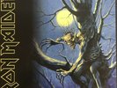 Iron Maiden - Fear Of The Dark 2 x LP Remastered Vinyl Album 180 Gram NEW RECORD