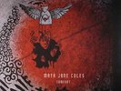 COLES, Maya Jane - Comfort - Vinyl (2xLP)