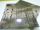 DEAD CAN DANCE ANASTASIS GREEN VINYL RECORD STORE DAY 2LP RSD 2 LP NOT 2021