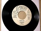 The Majestics and Nightwinds 45 The Lone Stranger 1959 Sioux 91549 Rare