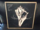 Robert Plant Lullaby and The Ceaseless Roar 2LP 180g