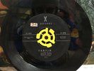 Beach Boys Surfin/Luau 7” Single 301