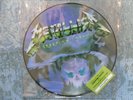 Original Picture Disc aus Deluxe Box Set, Metallica, Creeping Death, neu