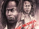 Hugh Mundell Lacksley Castell ‎- Jah Fire LP Roots Reggae Vinyl Album NEW Record