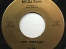 Jim Radi And The Embers - She’s Comin Back/I Cry - IMPALLA - Garage Rock - Rare