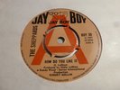 THE SHEPPARDS HOW DO YOU LIKE IT / STUBBORN HEART 1967 JAY BOY DEMO RARE EX+