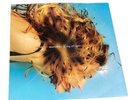 Madonna - Ray Of Light (12” Maxi Vinyl VG+ Clean )1998 Uk Press