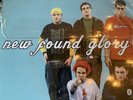 new found glory self titled vinyl picture disc blink 182 pop punk