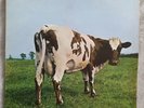 Pink Floyd-Atom Heart Mother 1970 UK 1st Pressing Harvest SHVL 781