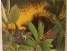Lonnie Liston Smith - Loveland - 1978 UK LP Album Record Vinyl Columbia
