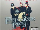 FEROCIOUS DOG From Without LP VINYL UK Not On Label 2015 11 Track