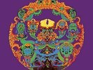 GRATEFUL DEAD-ANTHEM OF THE SUN (LTD) (PICT) (ANIV) (DL (UK IMPORT) VINYL LP NEW