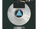 Pink Floyd The Dark Side Of The Moon Platin-Schallplatte Im Rahmen