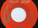 GLENN WELLS Nite People/For the Lonely NORTHERN SOUL POPCORN 45 hear