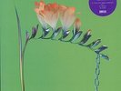 FLUME - SKIN COMPANION EP I (12