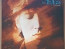 THE TRIFFIDS - CALENTURE 1988 WHITE HOT L38824 OZ INDIE GREAT LP