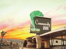 Goodbye June - Community Inn Vinyl LP Indie Orange Edition New 2019