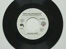 PRINCE AND THE REVOLUTION - RASPBERRY BERET - USA 7