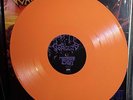 GORGUTS - Erosion of Sanity LP (limited orange vinyl) NEW suffocation